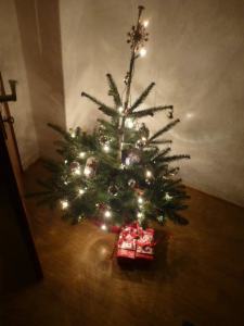 christmastree