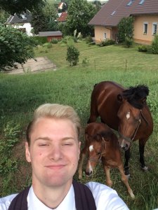 horsesselfie